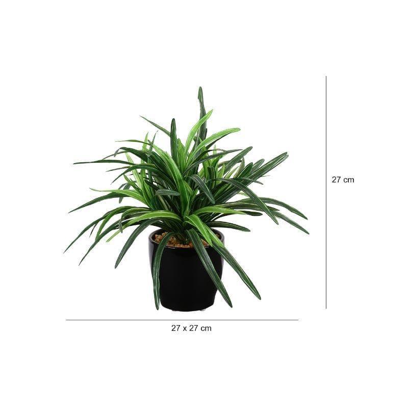 Artificial Plants - Faux Big Dracaena Bonsai (27 cms) - Green