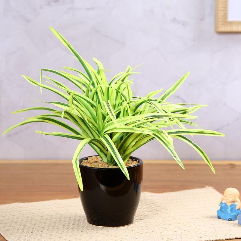 Buy Faux Big Dracaena Bonsai (27 cms) - Yellow Artificial Plants from Vaaree