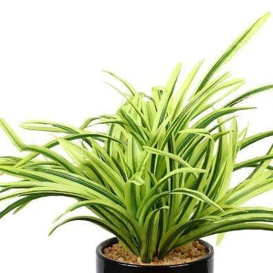 Buy Faux Big Dracaena Bonsai (27 cms) - Yellow Artificial Plants from Vaaree