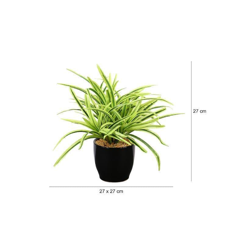 Buy Faux Big Dracaena Bonsai (27 cms) - Yellow Artificial Plants from Vaaree