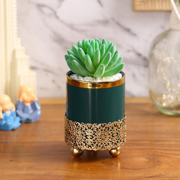 Artificial Plants - Faux Big Gasteria In Blue Ceramic Pot - 15.5 cms