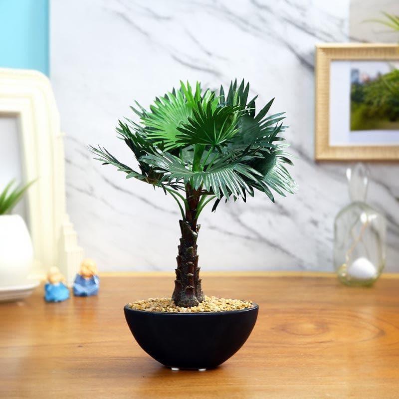 Buy Faux Bismarkia Bonsai In Bowl Pot - 33 cms Artificial Plants from Vaaree