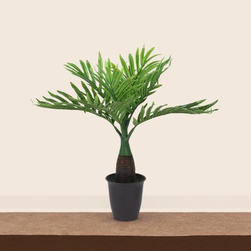 Buy Faux Bottele Palm Bonsai - 40 cms Artificial Plants from Vaaree