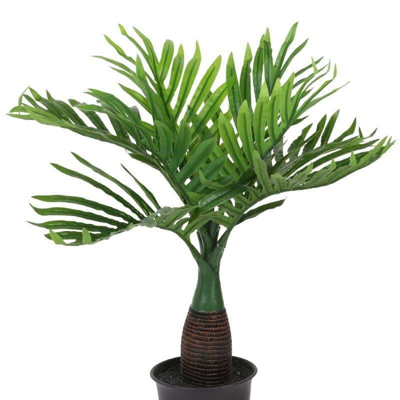 Buy Faux Bottele Palm Bonsai - 40 cms Artificial Plants from Vaaree