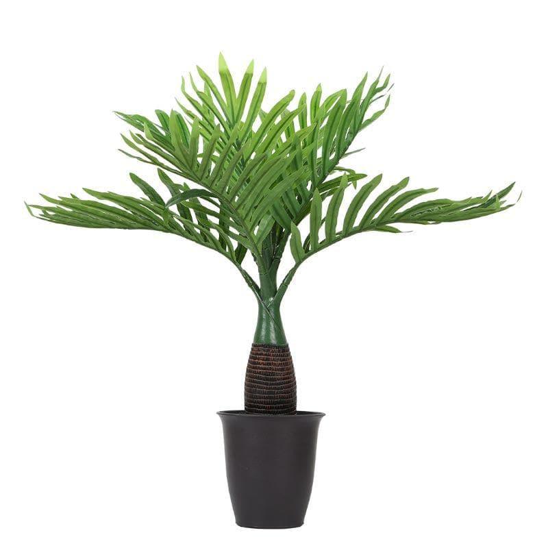 Buy Faux Bottele Palm Bonsai - 40 cms Artificial Plants from Vaaree