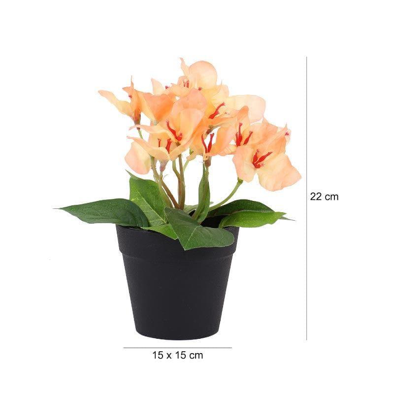 Buy Faux Bougainvillea Bonsai (21 cms) - Peach Artificial Plants from Vaaree