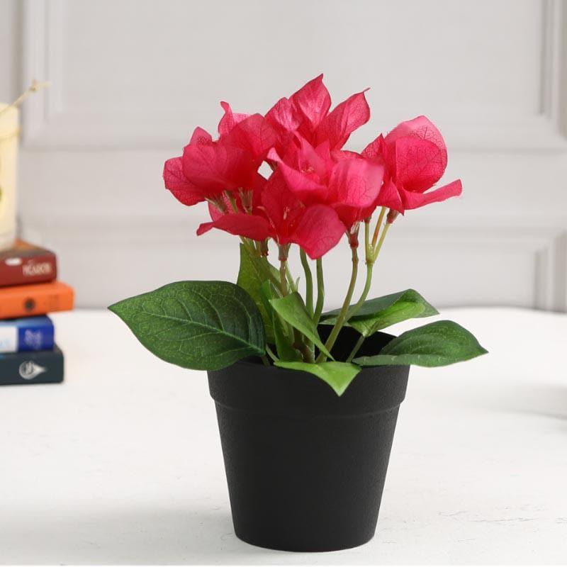 Buy Faux Bougainvillea Bonsai (21 cms) - Pink Artificial Plants from Vaaree