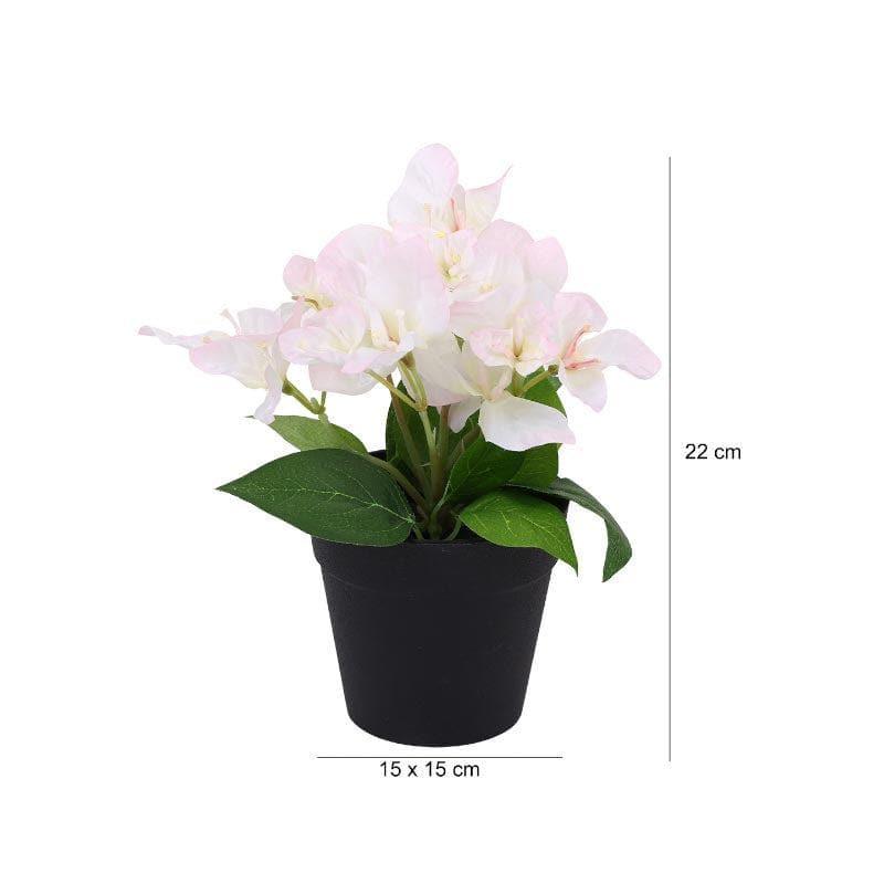 Buy Faux Bougainvillea Bonsai (21 cms) - White Artificial Plants from Vaaree