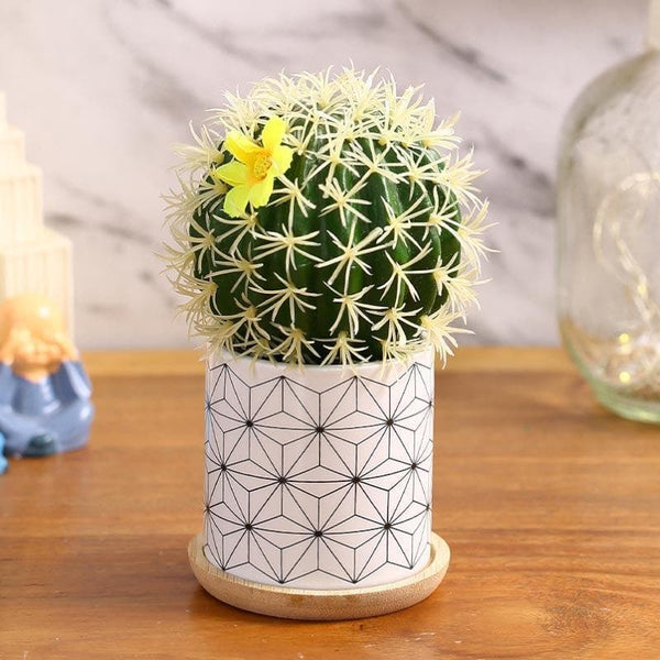 Buy Faux Cacti In Minimalist Pot - 16.5 cms Artificial Plants from Vaaree