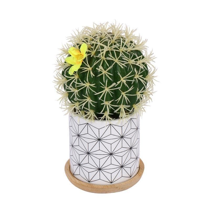 Buy Faux Cacti In Minimalist Pot - 16.5 cms Artificial Plants from Vaaree