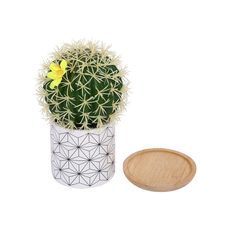 Buy Faux Cacti In Minimalist Pot - 16.5 cms Artificial Plants from Vaaree