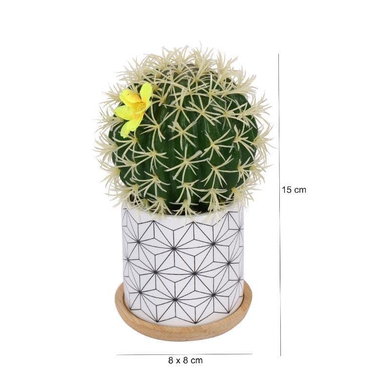 Buy Faux Cacti In Minimalist Pot - 16.5 cms Artificial Plants from Vaaree