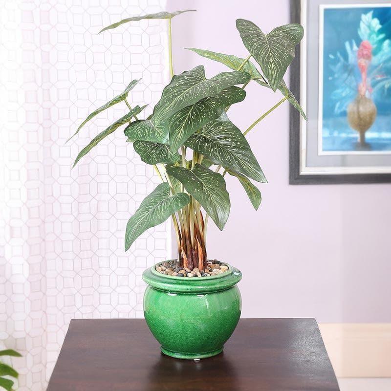 Artificial Plants - Faux Caladium Bonsai In Ceramic Pot (59 cms) - Green