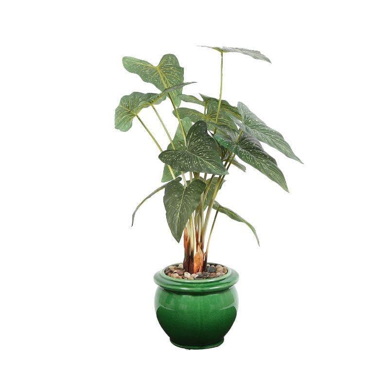 Artificial Plants - Faux Caladium Bonsai In Ceramic Pot (59 cms) - Green