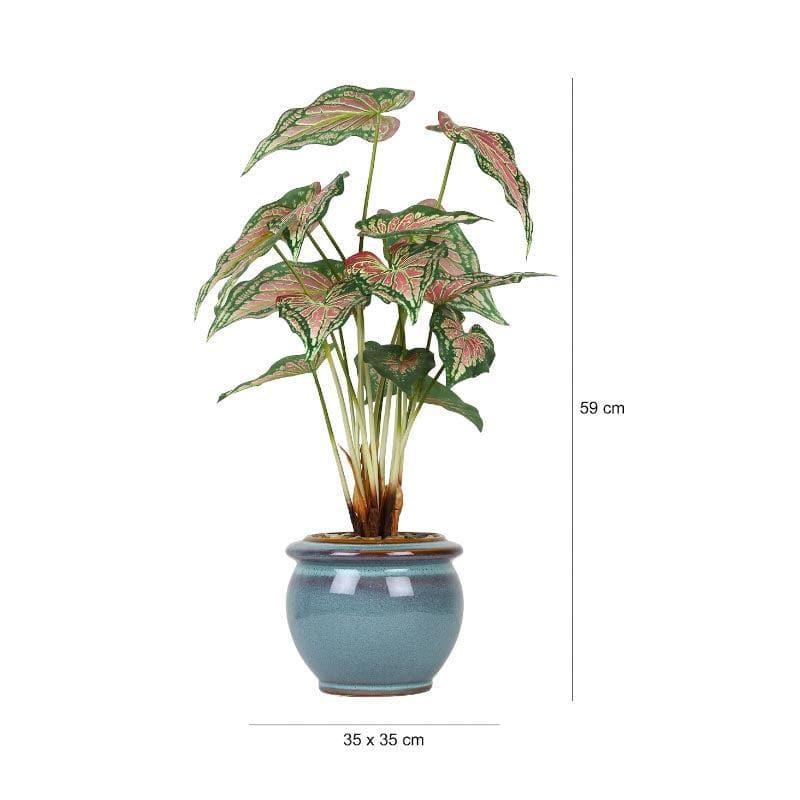 Buy Faux Caladium Bonsai In Ceramic Pot (59 cms) - Turquoise Artificial Plants from Vaaree