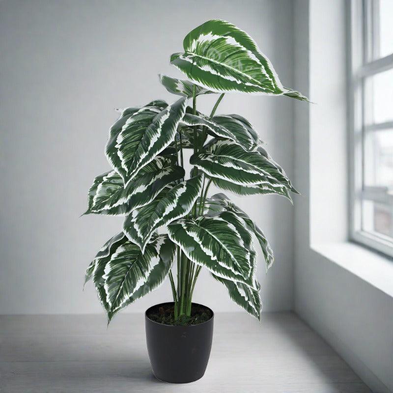 Artificial Plants - Faux Calatheas Cathedral Plant With Pot - 2.13 ft