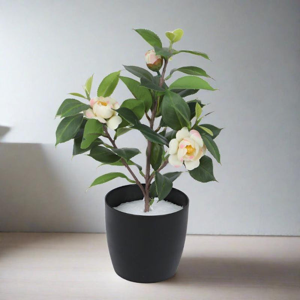 Artificial Plants - Faux Camelia Rose Plant With Pot (34 cms) - Off White