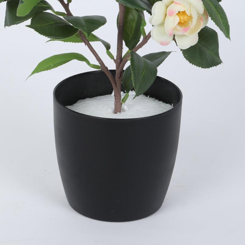 Artificial Plants - Faux Camelia Rose Plant With Pot (34 cms) - Off White