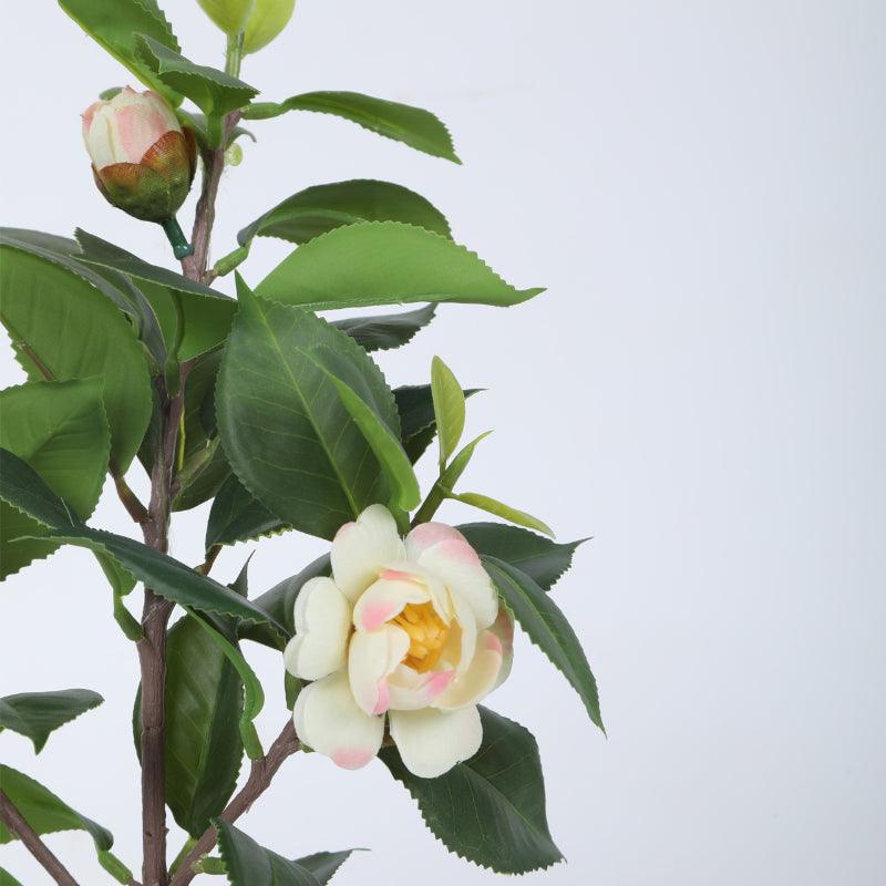 Artificial Plants - Faux Camelia Rose Plant With Pot (34 cms) - Off White