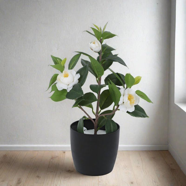 Artificial Plants - Faux Camelia Rose Plant With Pot (34 cms) - White