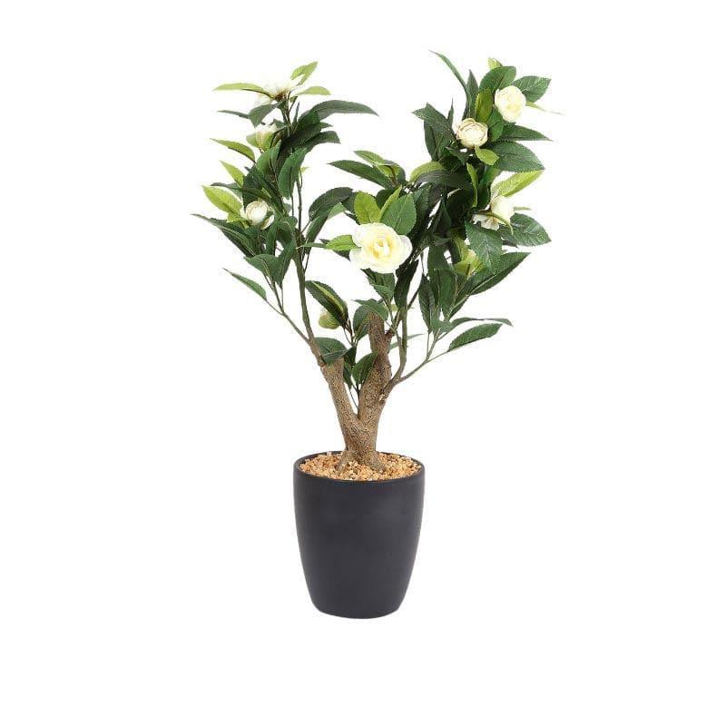 Artificial Plants - Faux Camellia Bonsai In Ceramic Pot (59 cms) - White