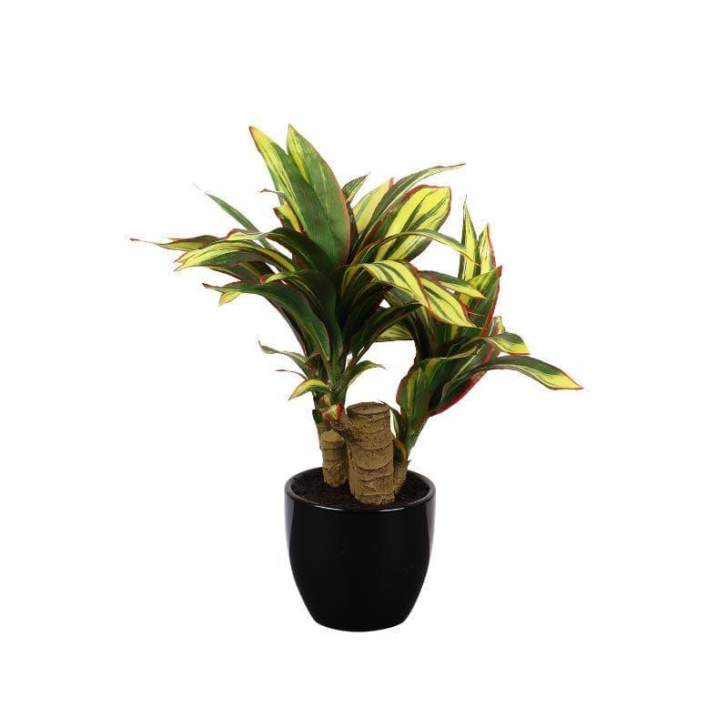 Artificial Plants - Faux Clathia Bonsai In Ceramic Pot - 35 cms