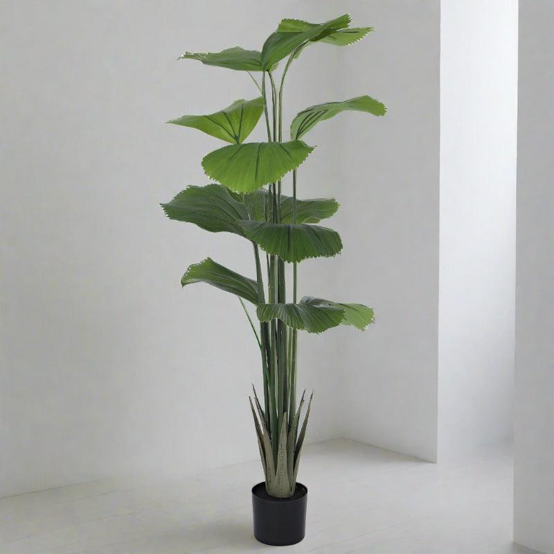 Artificial Plants - Faux Cluster Ficus Plant With Pot - 5.58 ft