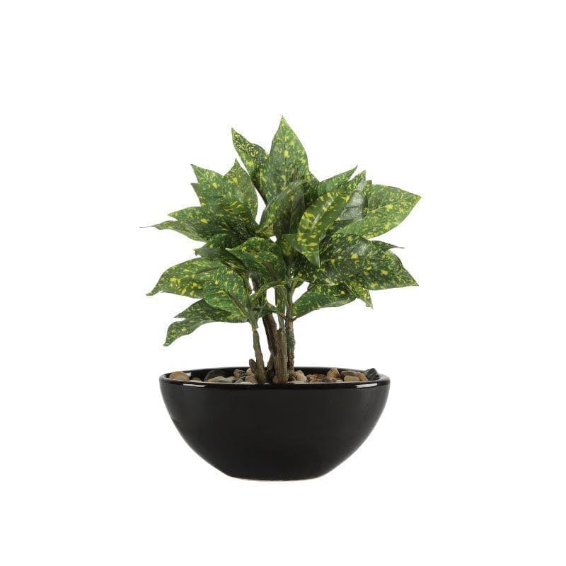 Artificial Plants - Faux Codiaeum Bonsai In Bowl Pot (29 cms) - Green