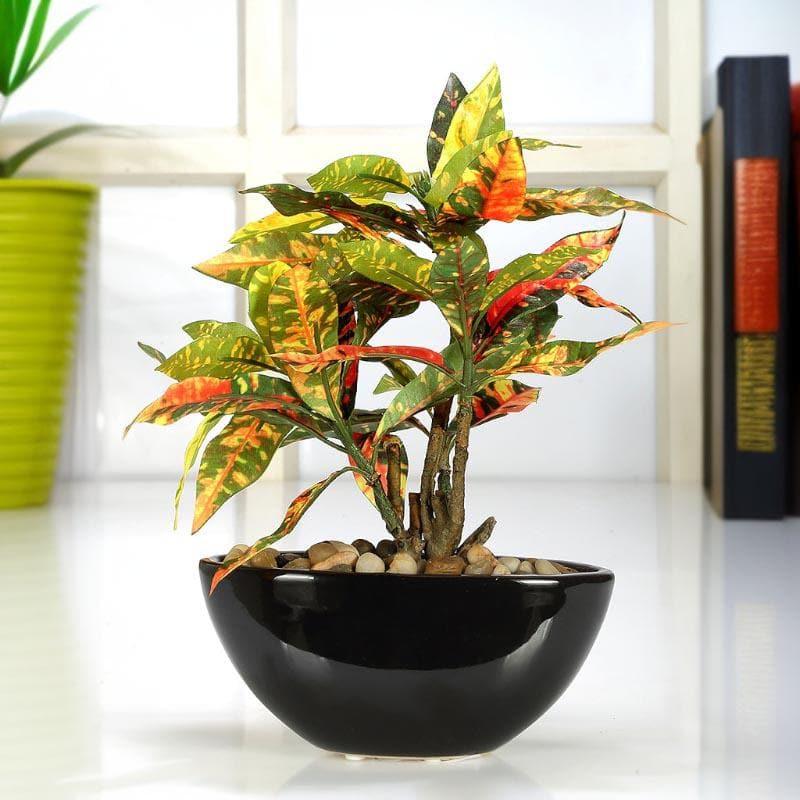 Artificial Plants - Faux Codiaeum Bonsai In Bowl Pot (29 cms) - Yellow