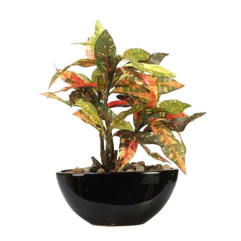 Artificial Plants - Faux Codiaeum Bonsai In Bowl Pot (29 cms) - Yellow