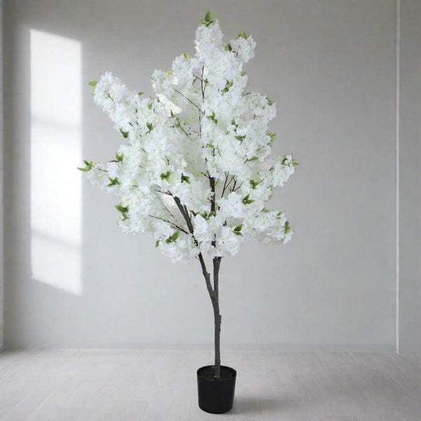 Artificial Plants - Faux Cotton Plant With Pot - 5.25 ft