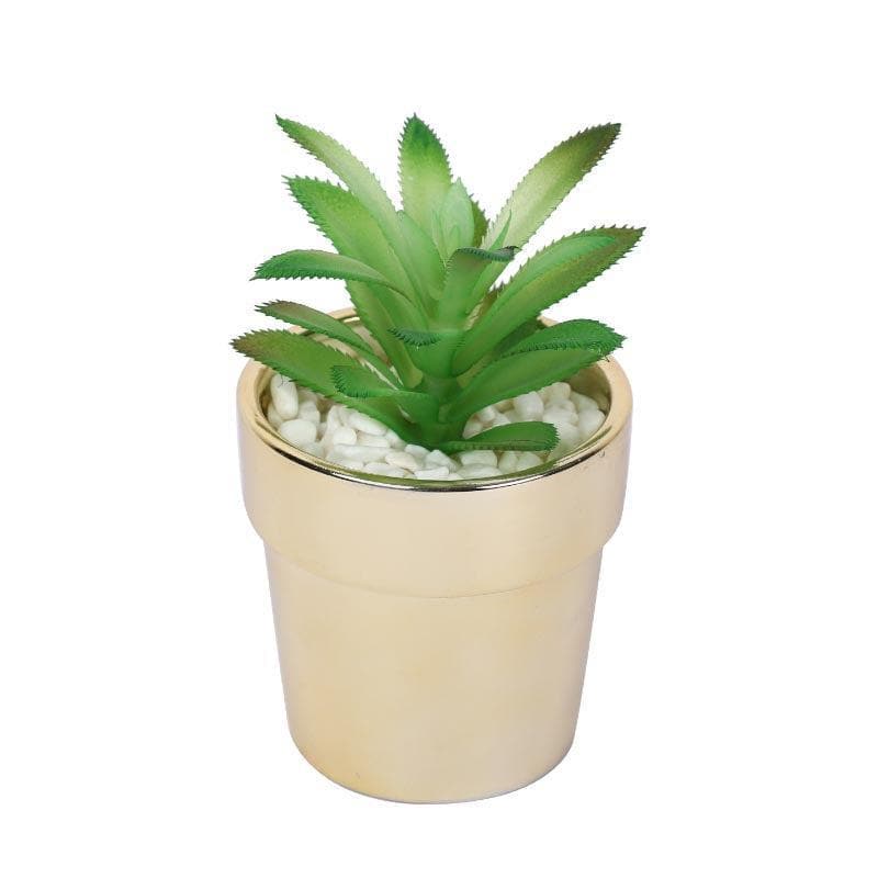 Artificial Plants - Faux Crassula In Ceramic Pot - 13.5 cms