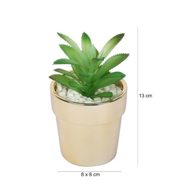 Artificial Plants - Faux Crassula In Ceramic Pot - 13.5 cms