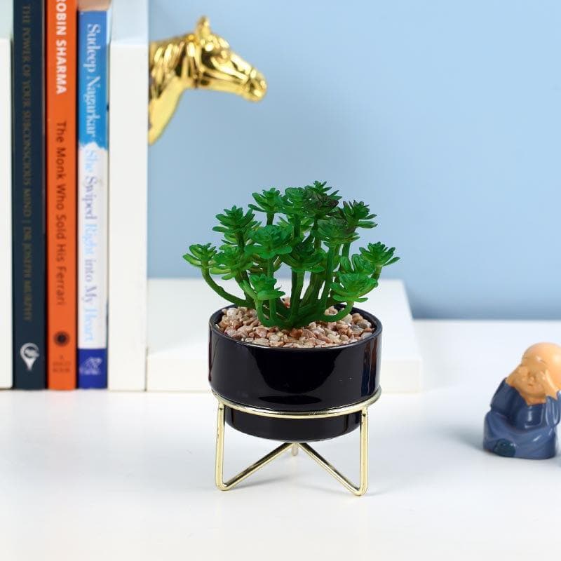 Artificial Plants - Faux Crassula In Ceramic Pot With Stand - 13.5 cms