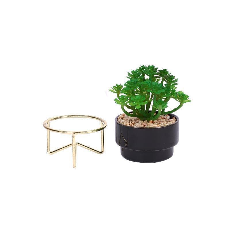 Artificial Plants - Faux Crassula In Ceramic Pot With Stand - 13.5 cms