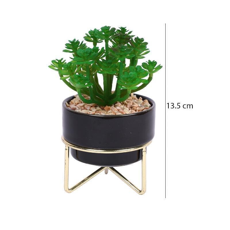 Artificial Plants - Faux Crassula In Ceramic Pot With Stand - 13.5 cms