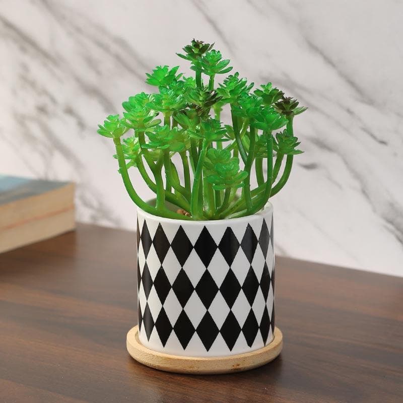 Artificial Plants - Faux Crassula In Checkered Pot - 17 cms