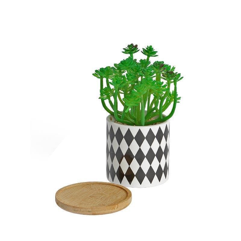 Artificial Plants - Faux Crassula In Checkered Pot - 17 cms