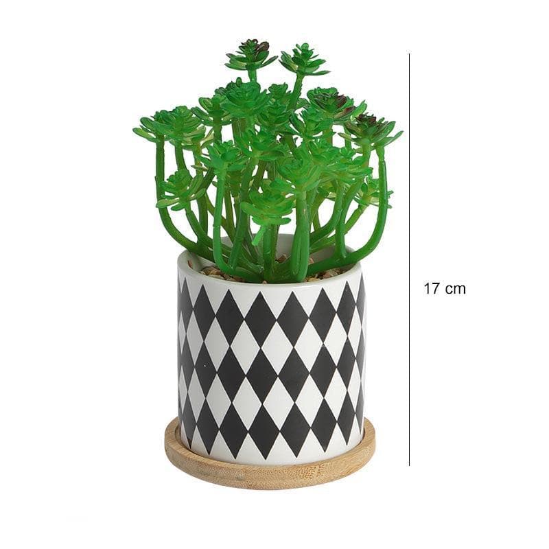 Artificial Plants - Faux Crassula In Checkered Pot - 17 cms