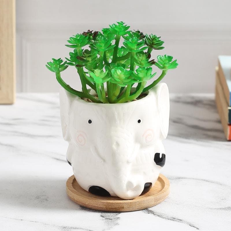 Buy Faux Crassula In Elephant Face Pot - 17.5 cms Artificial Plants from Vaaree