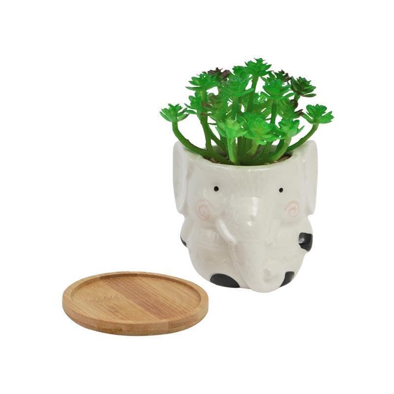 Artificial Plants - Faux Crassula In Elephant Face Pot - 17.5 cms