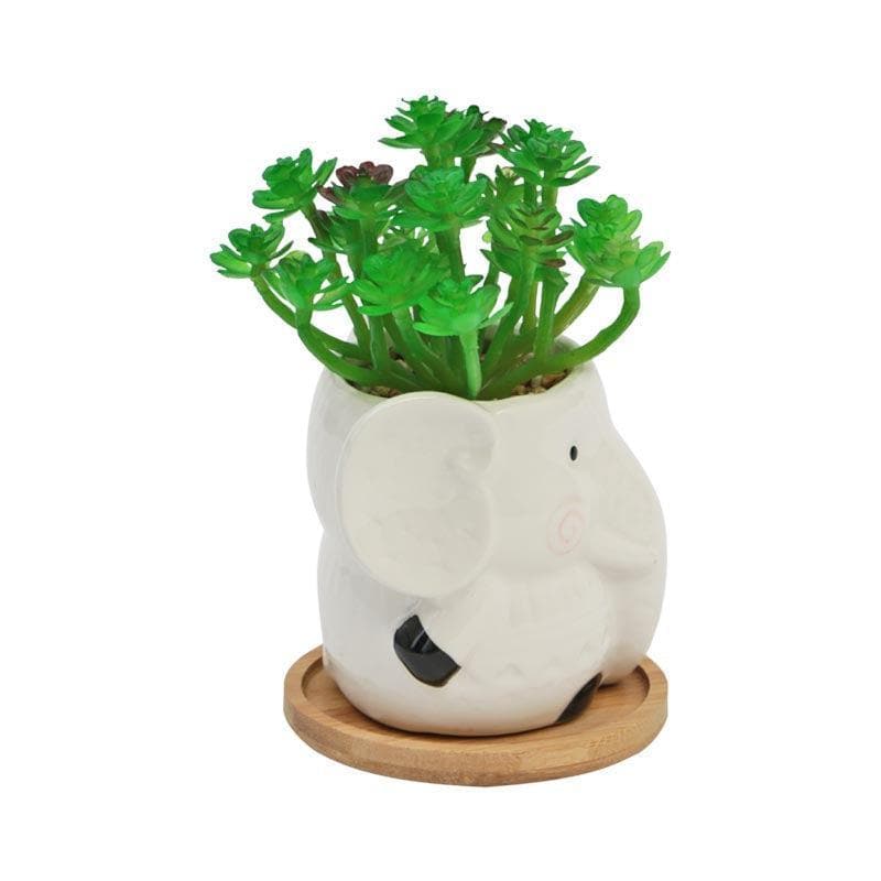 Artificial Plants - Faux Crassula In Elephant Face Pot - 17.5 cms