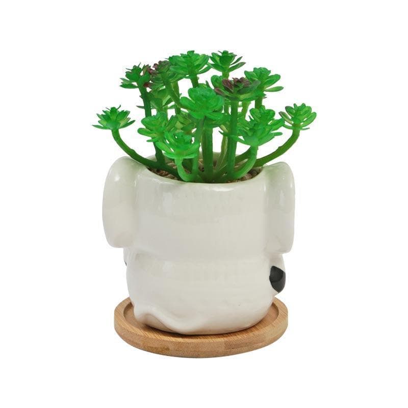 Artificial Plants - Faux Crassula In Elephant Face Pot - 17.5 cms