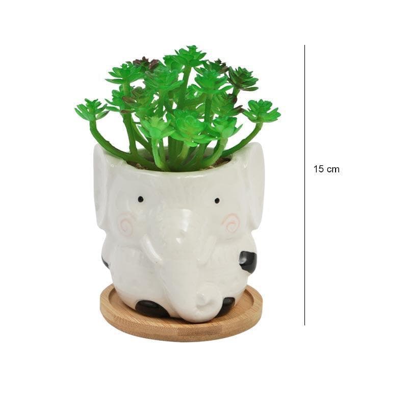 Artificial Plants - Faux Crassula In Elephant Face Pot - 17.5 cms