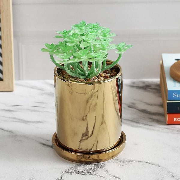 Artificial Plants - Faux Crassula In Pot With Coaster - 15.5 cms