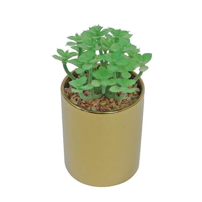 Artificial Plants - Faux Crassula In Pot With Coaster - 15.5 cms