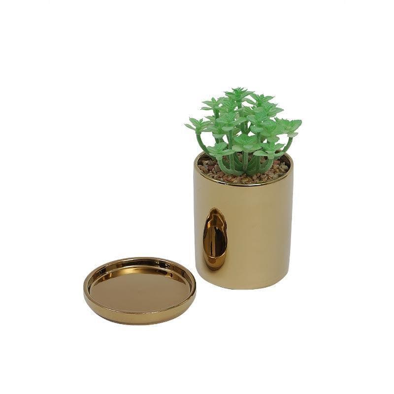 Artificial Plants - Faux Crassula In Pot With Coaster - 15.5 cms