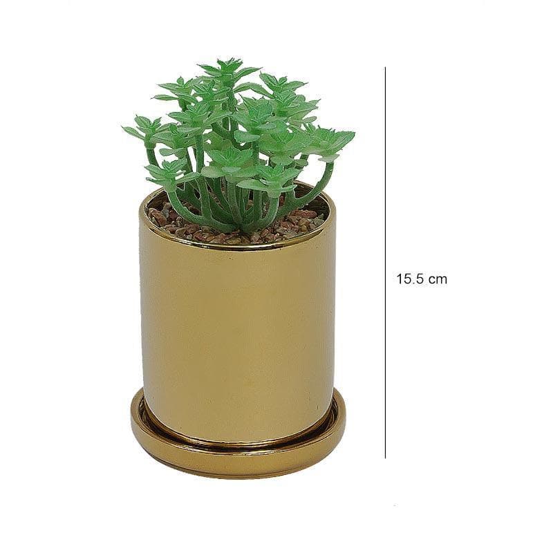 Buy Faux Crassula In Pot With Coaster - 15.5 cms Artificial Plants from Vaaree