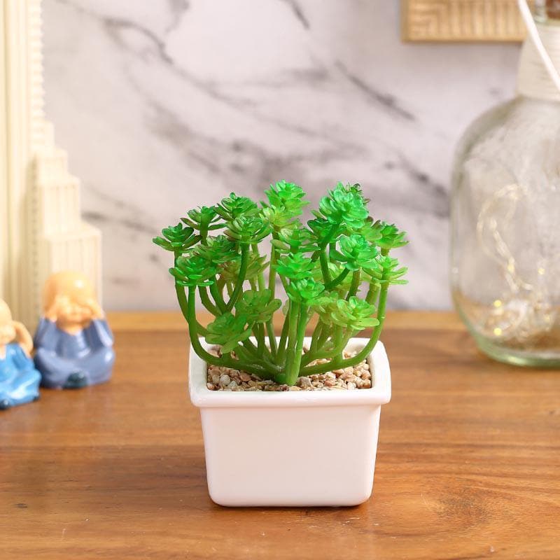 Buy Faux Crassula In White Pot - 14.5 cms Artificial Plants from Vaaree