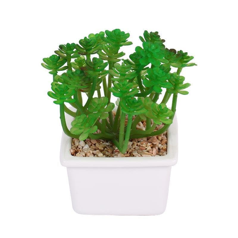 Artificial Plants - Faux Crassula In White Pot - 14.5 cms